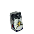 American Eagle - DJI Air 2S Battery Skin