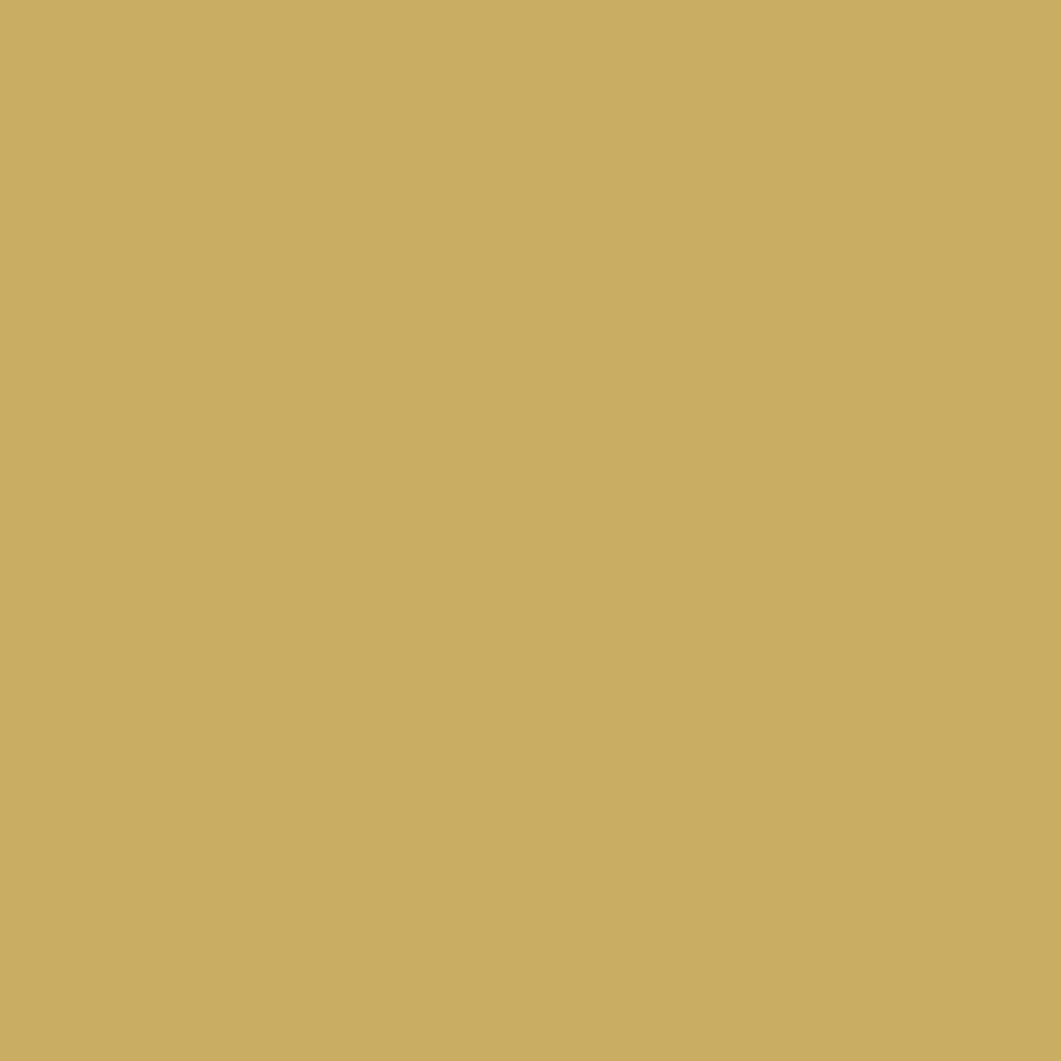 Solid State Mustard - DJI Avata Battery Skin
